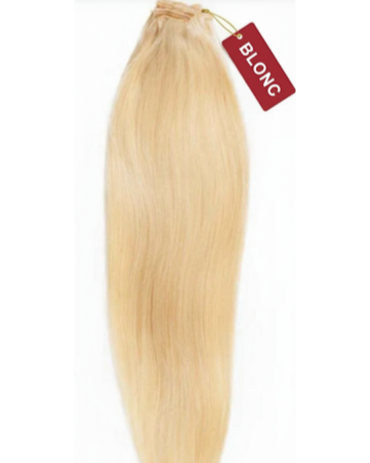 20" Platinum Blonde (613) Handtied Weft